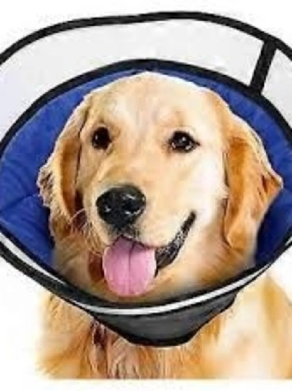 Blue Dog Recovery Collar - Soft Elizabethan E-Collar SIZE XL